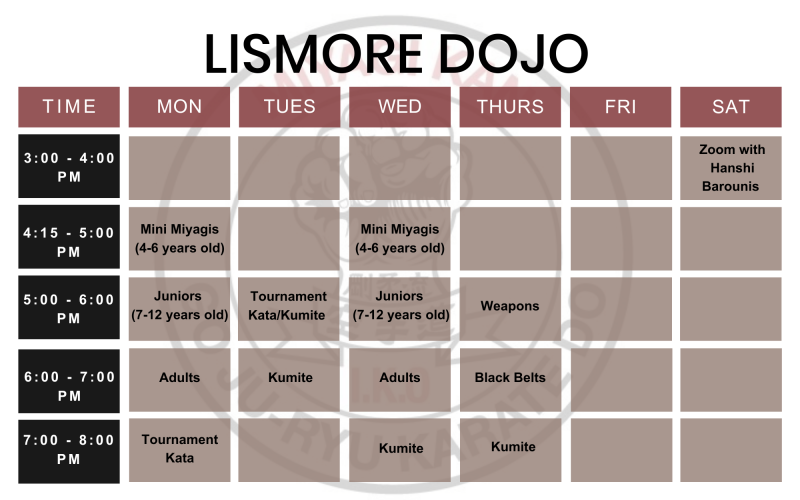 Lismore Dojo (1)